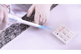 プレミアリーグ、1人がコロナ陽性ならチーム全員が14日隔離も 画像