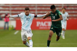 サッカーの試合に乱入した犬、車に轢かれる…“抱っこした選手”が引き取る 画像