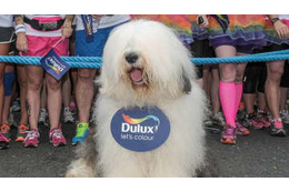 トッテナム新スポンサー、皮肉ジョークで物議！「彼らよりウチの犬のほうが…」 画像