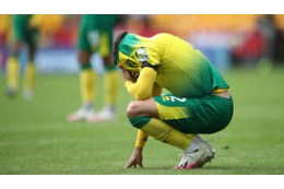 卑猥すぎる？プレミア昇格のノリッジ、新たな胸スポンサーが物議醸す 画像