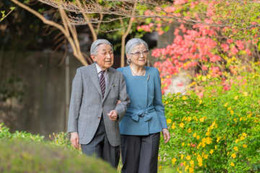 上皇さま平成の歩み、DVDに 画像