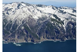 大型連休中、運航自粛 画像