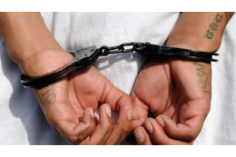 レイプ容疑で逮捕のプレミアスター選手、別のレイプ容疑2件で再逮捕 画像