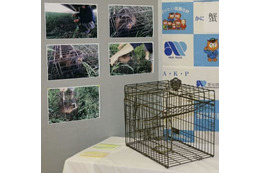 期間外にヌートリア捕獲疑い逮捕 画像