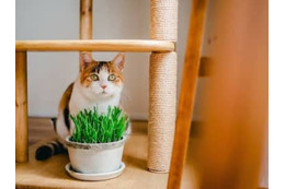 51歳貯金1200万円。ローンの審査に落ちました。それでも住宅を購入したい 画像