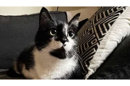 JFL昇格を争う地域CL2022、組み合わせが決定！グループAがすごいことに 画像