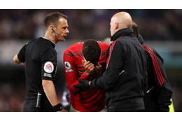 号泣負傷のヴァラン、W杯メンバー入りへ　3週間離脱と報道 画像