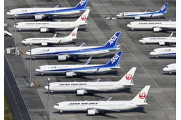 全日空が客室乗務員の新卒採用へ 画像