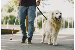 電車で…盲導犬と一緒に乗ろうとする男性。次の瞬間⇒「扉開きました」学生の【対応】に感動！！ 画像