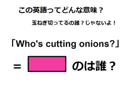 この英語ってどんな意味？「Who’s cutting onions?」 画像