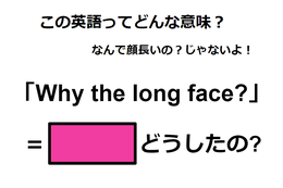 この英語ってどんな意味？「Why the long face?」 画像