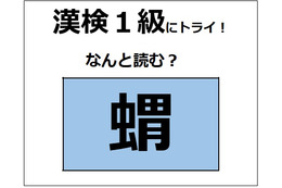 「蝟」の読み方、わかる？「蛸（たこ）」じゃないよ。とてもかわいらしい哺乳動物！【漢字クイズ】 画像