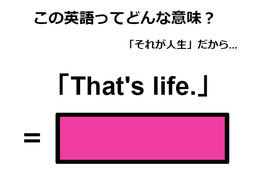 この英語ってどんな意味？「That’s life. 」 画像