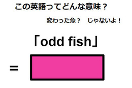 この英語ってどんな意味？「odd fish」