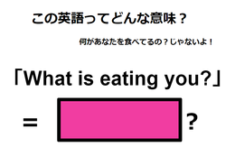 この英語ってどんな意味？「What is eating you? 」