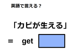 英語で「カビが生える」はなんて言う？