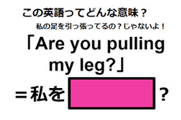 この英語ってどんな意味？「Are you pulling my leg? 」