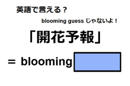 英語で「開花予報」はなんて言う？