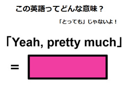 この英語ってどんな意味？「Yeah, pretty much」