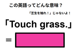この英語ってどんな意味？「Touch grass. 」