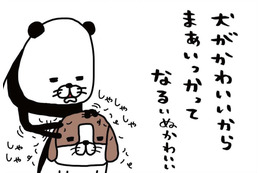 「夢や希望」なくしたのは、いつだっけ？  そんな思いも帳消しにしてくれる存在【パンダと犬 ＃８】 画像
