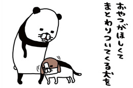 愛犬の顔をよくよく観察。なにやら「わさわさ」している存在が…【パンダと犬 ＃14】 画像