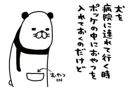 犬を病院に連れて行くときの必需品、それはオヤツ。しつこく嗅いでくる愛犬。バレてる？【パンダと犬 ＃17】