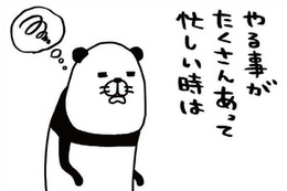 忙しい時こそ愛犬を捕まえて「やりたくなる意外な行動」とは？【パンダと犬 ＃21】 画像