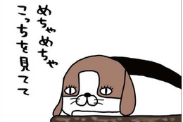 大仕事がひと段落！愛犬に見せたくてたまらない景色とは？【パンダと犬 ＃22】 画像