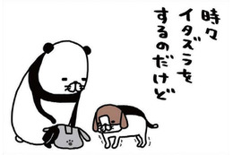 老犬・梅吉がヨボヨボしてイタズラをしに来る…スピードの遅さが逆にかわいい【パンダと犬 ＃32】 画像