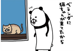 ベランダに猫ちゃん発見。愛犬・梅吉に見せてあげると、お互い同じ反応…【パンダと犬 ＃34】 画像