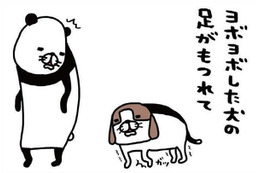 ヨロヨロ愛犬が立てず、駆け寄ると…。恩返しの「おなら」炸裂!?【パンダと犬 ＃37】 画像
