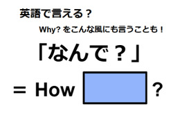 英語で「なんで？」はなんて言う？