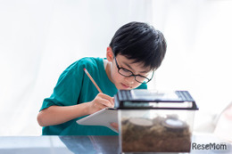 【夏休み2025】自由研究、親はどこまでサポート？84%の家庭が実践する子供主体の進め方