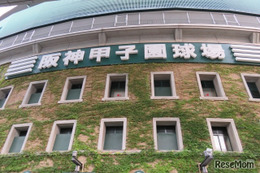【高校野球2025夏】花巻東が勝利、智辯和歌山を制す 画像
