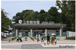 動物園・美術館など22施設が無料「都民の日」10/1