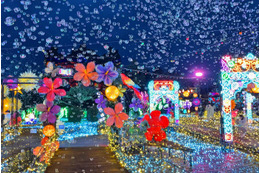 伊豆ぐらんぱる公園で体験型イルミネーション、11月7日から “龍の大冒険”コンセプトに新たな演出 画像