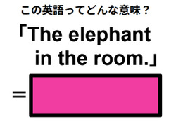 この英語ってどんな意味？「The elephant in the room.」 画像