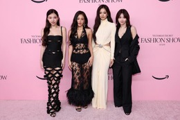 TWICE「ヴィクトリアズ・シークレット」大胆衣装のオフショ続々投稿「ため息出るほど美しい」「ゴージャス」と話題 画像