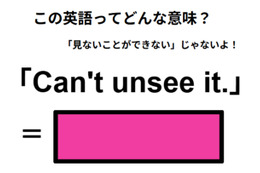 この英語ってどんな意味？「Can’t unsee it.」