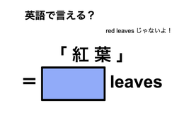 英語で「 紅 葉 」は何て言う？