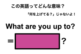 この英語ってどんな意味?「What are you up to?」