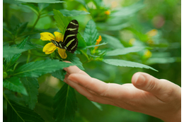 虫が大の苦手な私　洗濯物も外に干せなかったが⇒出産を機に「自分でもびっくり」 画像