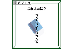 クイズです！「この図が表しているものは？」ヒントは後ろに隠れているもの【難易度LV２.・甘口】