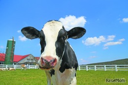 茨城・埼玉県民デー「マザー牧場、子供入場無料など」11/8-16