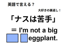 英語で「ナスは苦手」は何て言う？