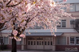 【中学受験2026】今年の人気校は？ねらい目校は？…過去問の売れ行き前年比較で探る注目校＜共学校編・後編＞