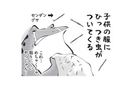 ひっつき虫を服につけて、どんぐりをポケットに入れる…秋がやってきたと感じます【カエル母さん #６】