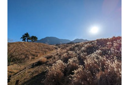 ウイルスや寒さの影響で体調を崩しがちな「冬至」の時季、「意外な３つの海鮮」を食べるべし？１つは赤くて２つは白くて