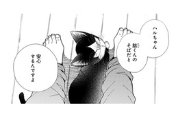 猫は僕のそばだと安心する？ そう言われても実感がわかない… オモチャを片付けようとしたら!?【同居人はひざ、時々、頭のうえ。 #27】